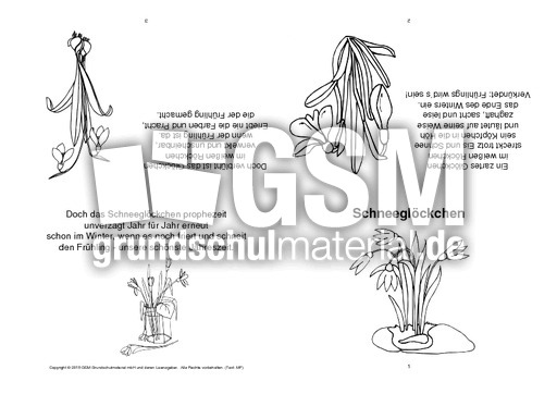 Faltbuch-Schneeglöckchen-SW.pdf